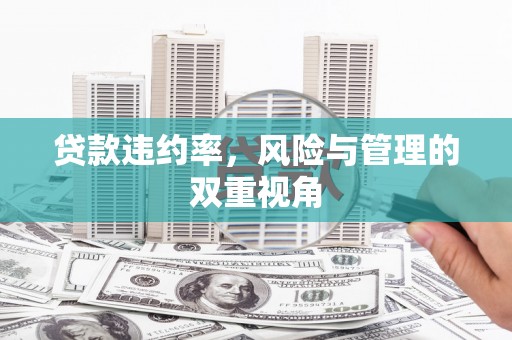 万秀贷款违约率，风险与管理的双重视角