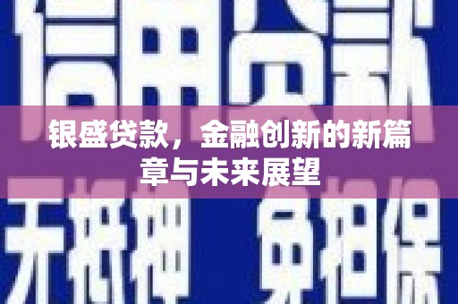 万秀银盛贷款，金融创新的新篇章与未来展望
