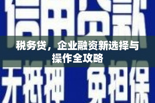 万秀税务贷，企业融资新选择与操作全攻略