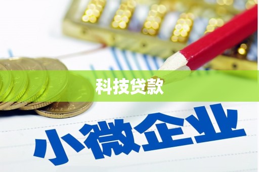万秀科技贷款
