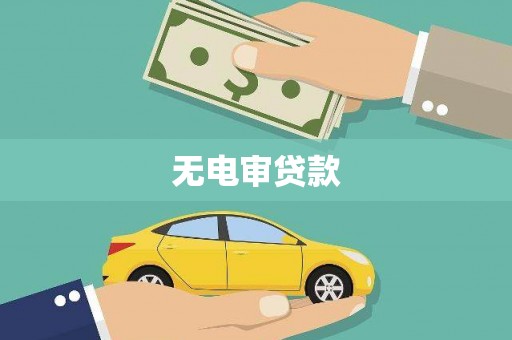 万秀无电审贷款