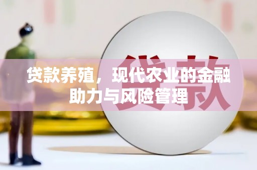 万秀贷款养殖，现代农业的金融助力与风险管理