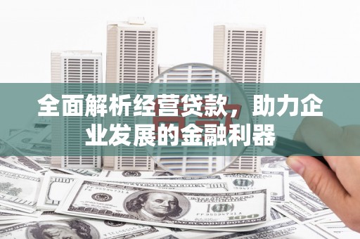 万秀全面解析经营贷款，助力企业发展的金融利器