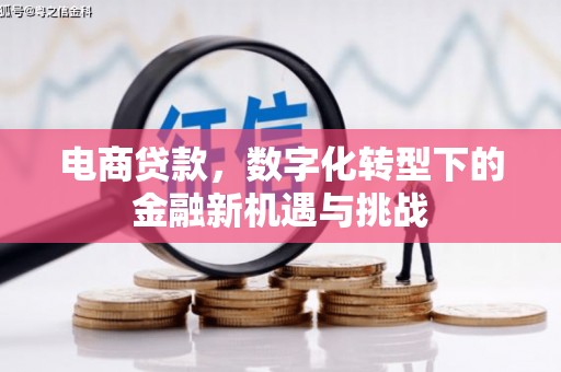 万秀电商贷款，数字化转型下的金融新机遇与挑战