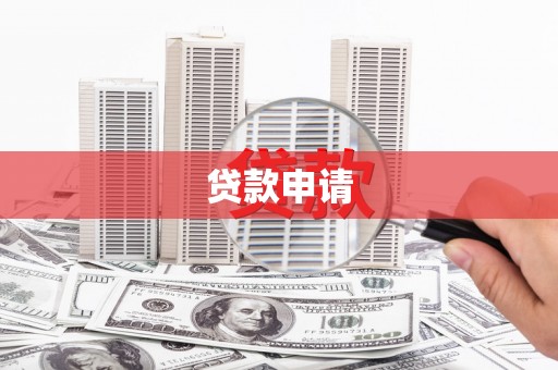万秀贷款申请