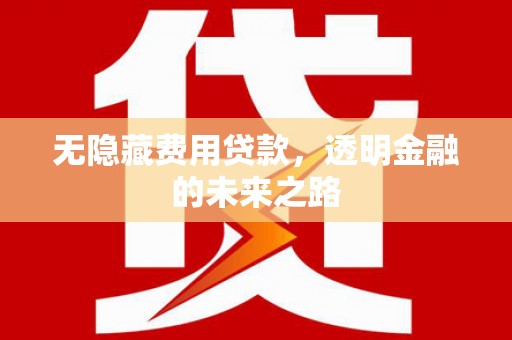 万秀无隐藏费用贷款，透明金融的未来之路