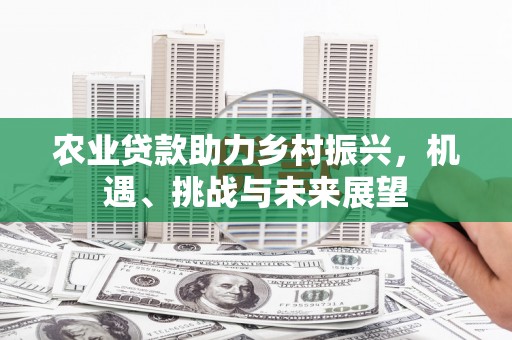 万秀农业贷款助力乡村振兴，机遇、挑战与未来展望