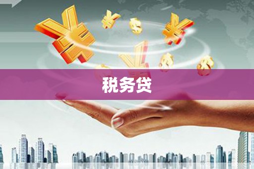 万秀税务贷