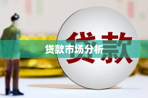 万秀贷款市场分析