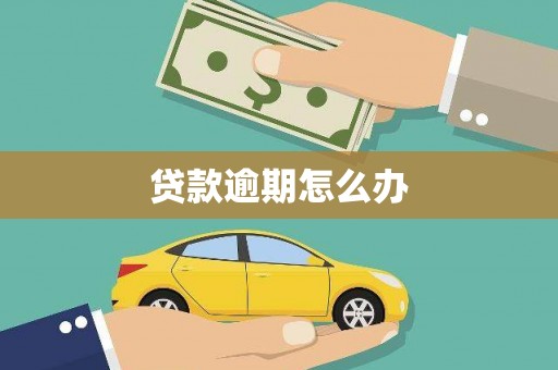 万秀贷款逾期怎么办