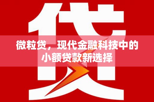 万秀微粒贷，现代金融科技中的小额贷款新选择