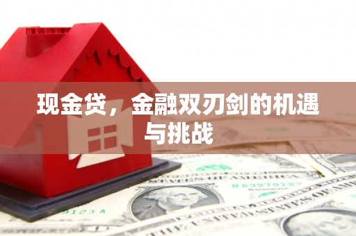 万秀现金贷，金融双刃剑的机遇与挑战