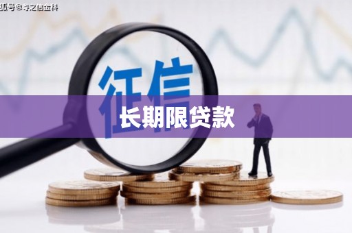 万秀长期限贷款
