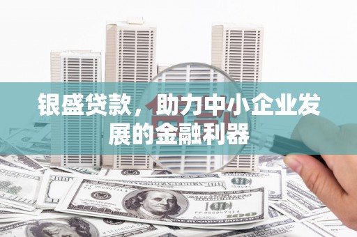 万秀银盛贷款，助力中小企业发展的金融利器