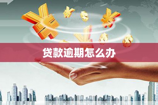 万秀贷款逾期怎么办