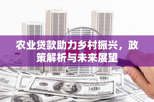 万秀农业贷款助力乡村振兴，政策解析与未来展望