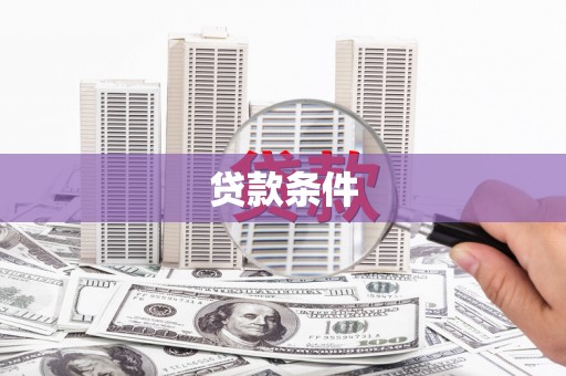 万秀贷款条件