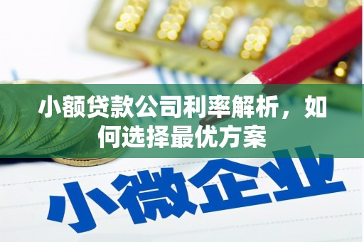 万秀小额贷款公司利率解析，如何选择最优方案
