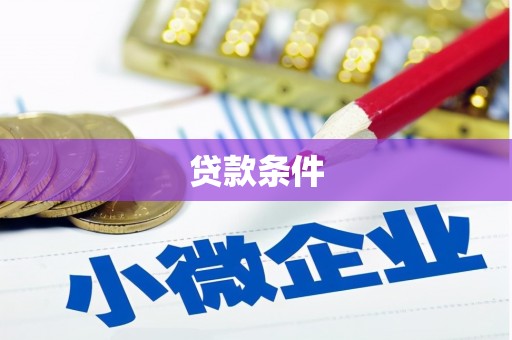 万秀贷款条件