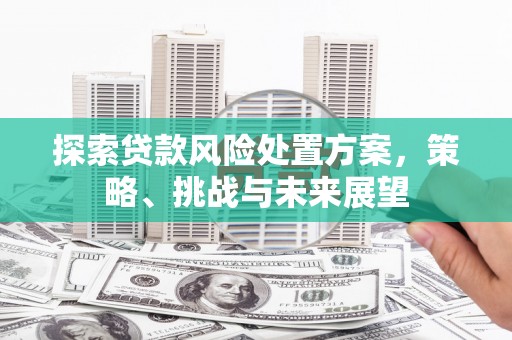 万秀探索贷款风险处置方案，策略、挑战与未来展望