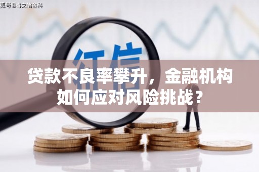 万秀贷款不良率攀升，金融机构如何应对风险挑战？