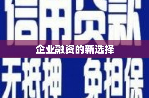 万秀企业融资的新选择