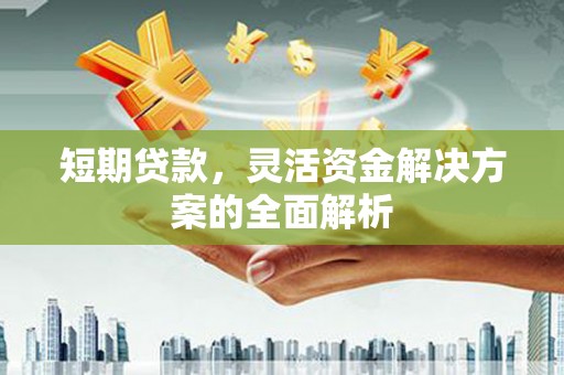 万秀短期贷款，灵活资金解决方案的全面解析