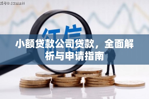 万秀小额贷款公司贷款，全面解析与申请指南