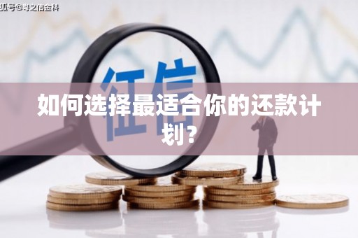 万秀如何选择最适合你的还款计划？