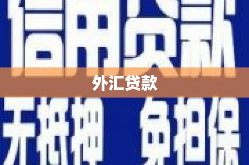 万秀外汇贷款