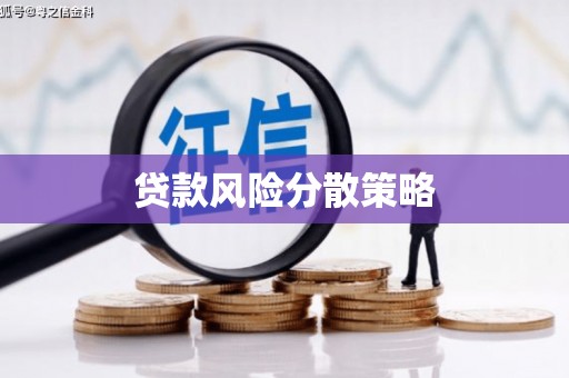 万秀贷款风险分散策略