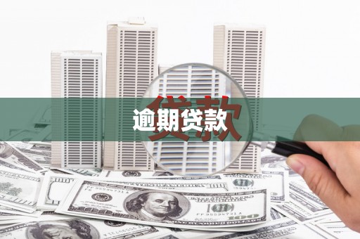 万秀逾期贷款