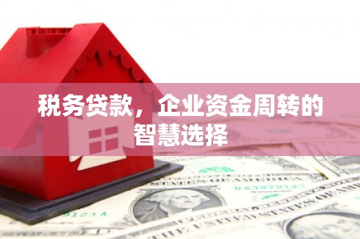 万秀税务贷款，企业资金周转的智慧选择