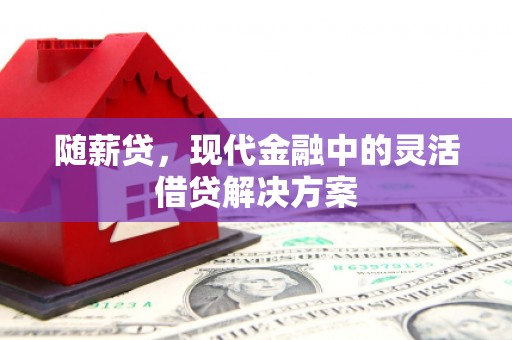 万秀随薪贷，现代金融中的灵活借贷解决方案