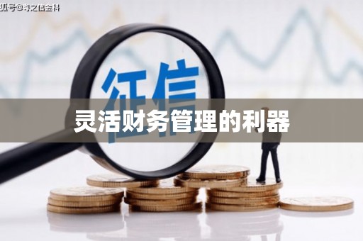 万秀灵活财务管理的利器