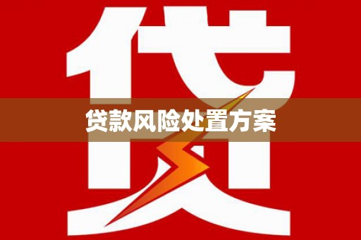 万秀贷款风险处置方案