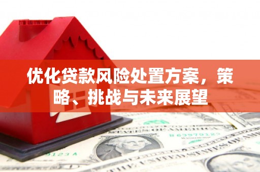 万秀优化贷款风险处置方案，策略、挑战与未来展望