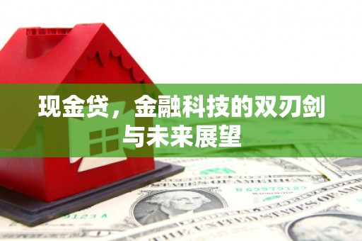 万秀现金贷，金融科技的双刃剑与未来展望