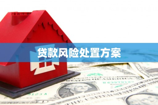 万秀贷款风险处置方案