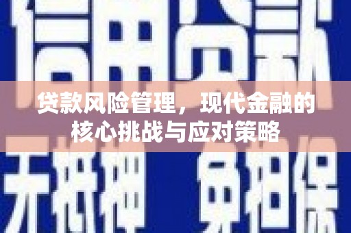 万秀贷款风险管理，现代金融的核心挑战与应对策略