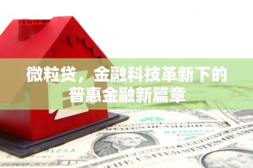 万秀微粒贷，金融科技革新下的普惠金融新篇章