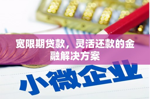 万秀宽限期贷款，灵活还款的金融解决方案