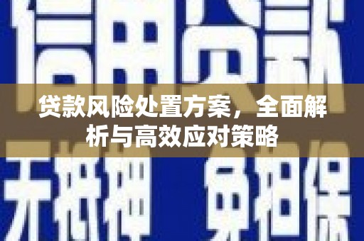 万秀贷款风险处置方案，全面解析与高效应对策略