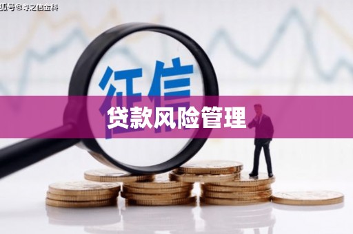 万秀贷款风险管理