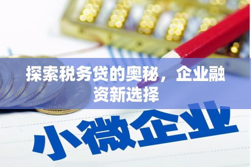 万秀探索税务贷的奥秘，企业融资新选择
