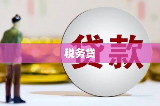 万秀税务贷