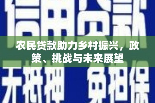 万秀农民贷款助力乡村振兴，政策、挑战与未来展望