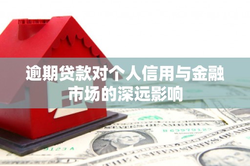 万秀逾期贷款对个人信用与金融市场的深远影响