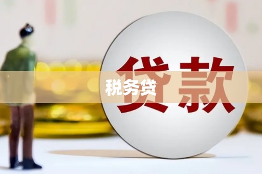 万秀税务贷