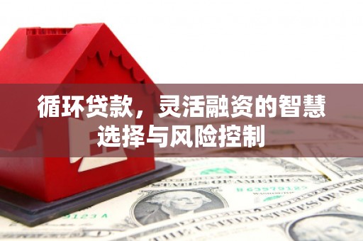 万秀循环贷款，灵活融资的智慧选择与风险控制